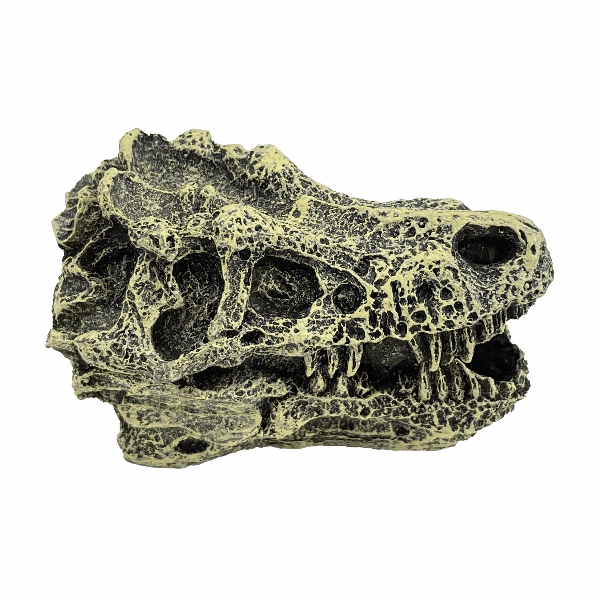 Fish Gear Dino Skull Betta Ornament