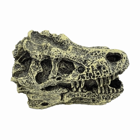Fish Gear Dino Skull Betta Ornament