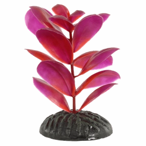 Fish Gear Magenta Bacopa Plastic Betta Plant (4")
