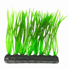Fish Gear Narrow Leaf Green Foreground Aquarium Plant (4")