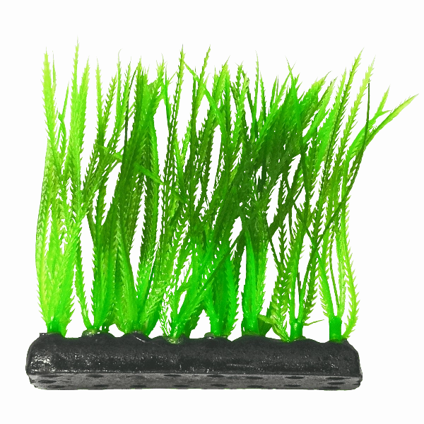 Fish Gear Narrow Leaf Green Foreground Aquarium Plant (4")