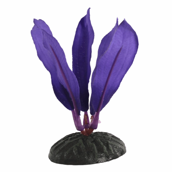Fish Gear Purple Dwarf Sword Silk Betta Plant (4")