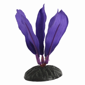 Fish Gear Purple Dwarf Sword Silk Betta Plant (4")