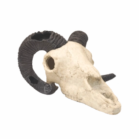 Fish Gear Rams Skull Aquarium Ornament