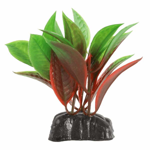 Fish Gear Red & Green Crypt Plastic Betta Plant (3")