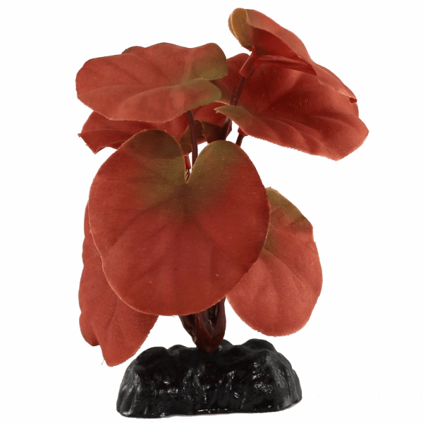 Fish Gear Red Cardamine Silk Betta Plant (4")