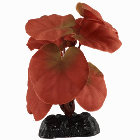 Fish Gear Red Cardamine Silk Betta Plant (4")