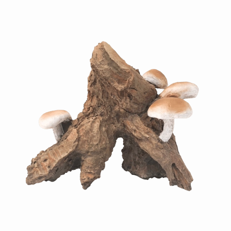 Fish Gear Root Cluster with Mushrooms Aquarium Ornament