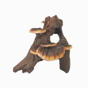 Fish Gear Root Cluster with Mushrooms Aquarium Ornament