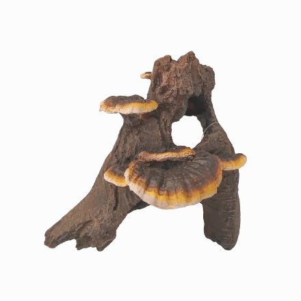 Fish Gear Root Cluster with Mushrooms Aquarium Ornament