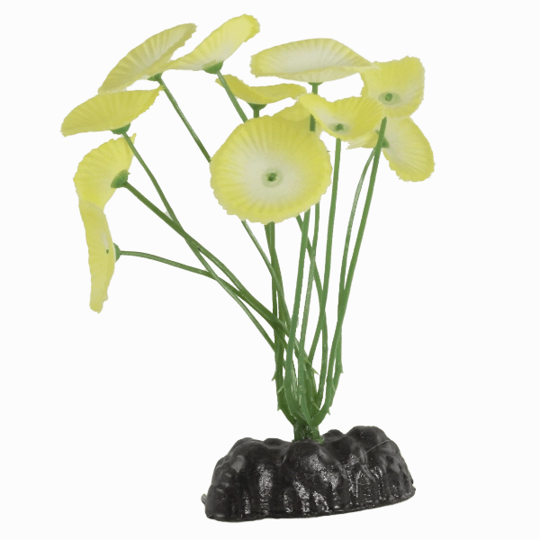 Fish Gear White Buttercup Lily Silk Betta Plant (4")