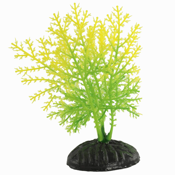 Fish Gear Yellow & Green Hygrophila Plastic Betta Plant (4")