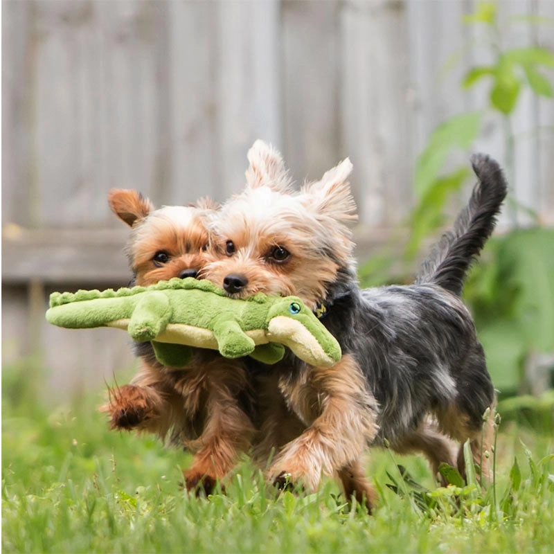 FLUFF & TUFF Savannah Baby Gator Dog Toy