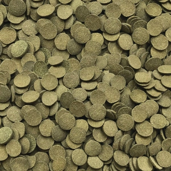 Fluval Bug Bites Algae Crisps