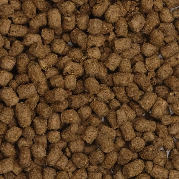 Fluval Bug Bites Slow Sinking Pellet Cichlid Formula, 100g