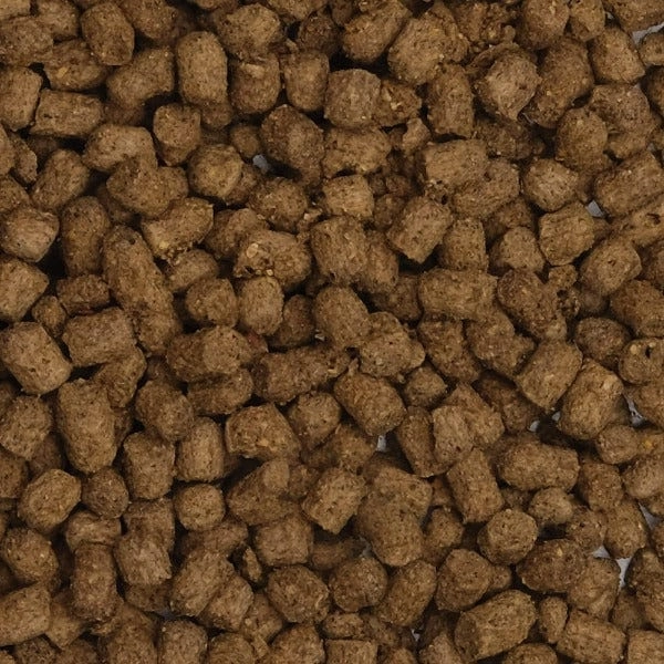 Fluval Bug Bites Slow Sinking Pellet Cichlid Formula, 100g