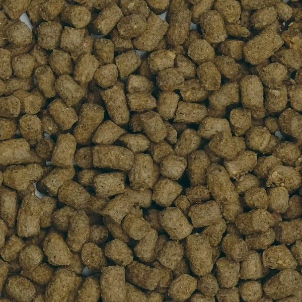 Fluval Bug Bites Slow Sinking Pellets Goldfish Formula, 100g