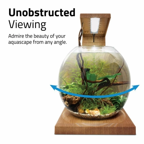 Fluval Liv Microscaping Aquarium Kit, 1.6 US Gal / 6 L, Teak