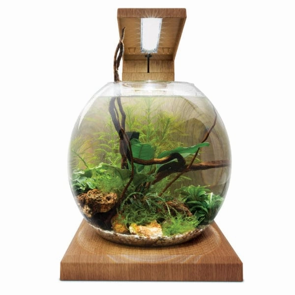 Fluval Liv Microscaping Aquarium Kit, 1.6 US Gal / 6 L, Teak
