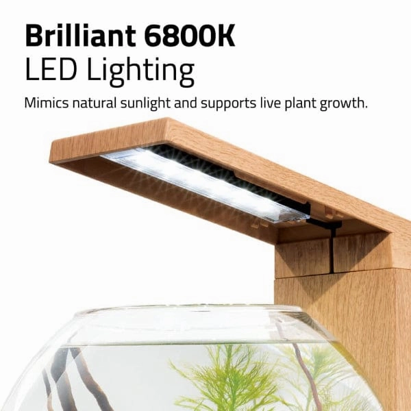 Fluval Liv Microscaping Aquarium Kit, 1.6 US Gal / 6 L, Teak