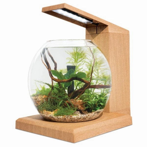 Fluval Liv Microscaping Aquarium Kit, 1.6 US Gal / 6 L, Teak