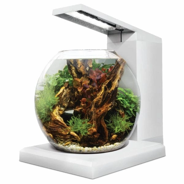 Fluval Liv Microscaping Aquarium Kit, 1.6 US Gal / 6 L, White