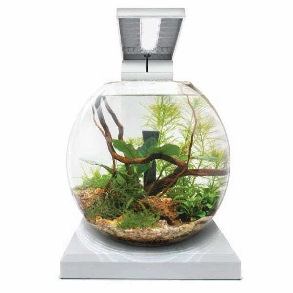 Fluval Liv Microscaping Aquarium Kit, 1.6 US Gal / 6 L, White