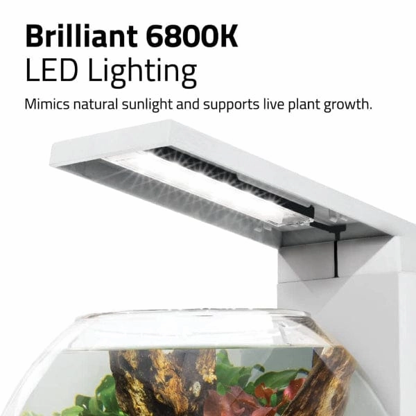 Fluval Liv Microscaping Aquarium Kit, 1.6 US Gal / 6 L, White