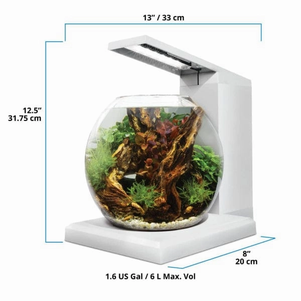 Fluval Liv Microscaping Aquarium Kit, 1.6 US Gal / 6 L, White