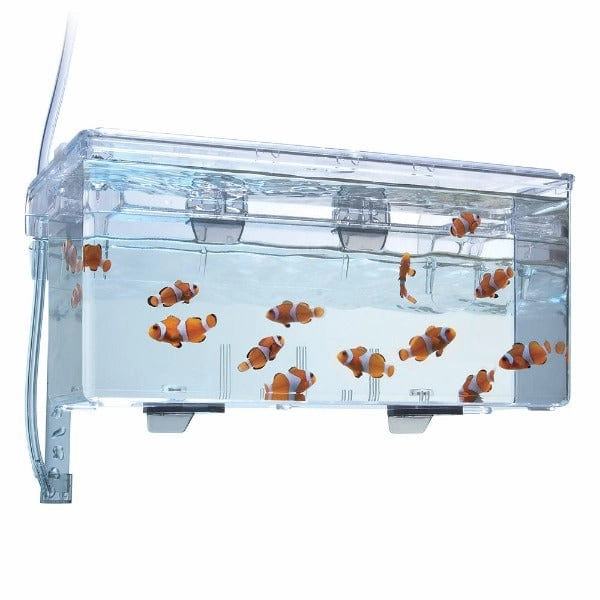Fluval Multi-Chamber Holding & Breeding Box