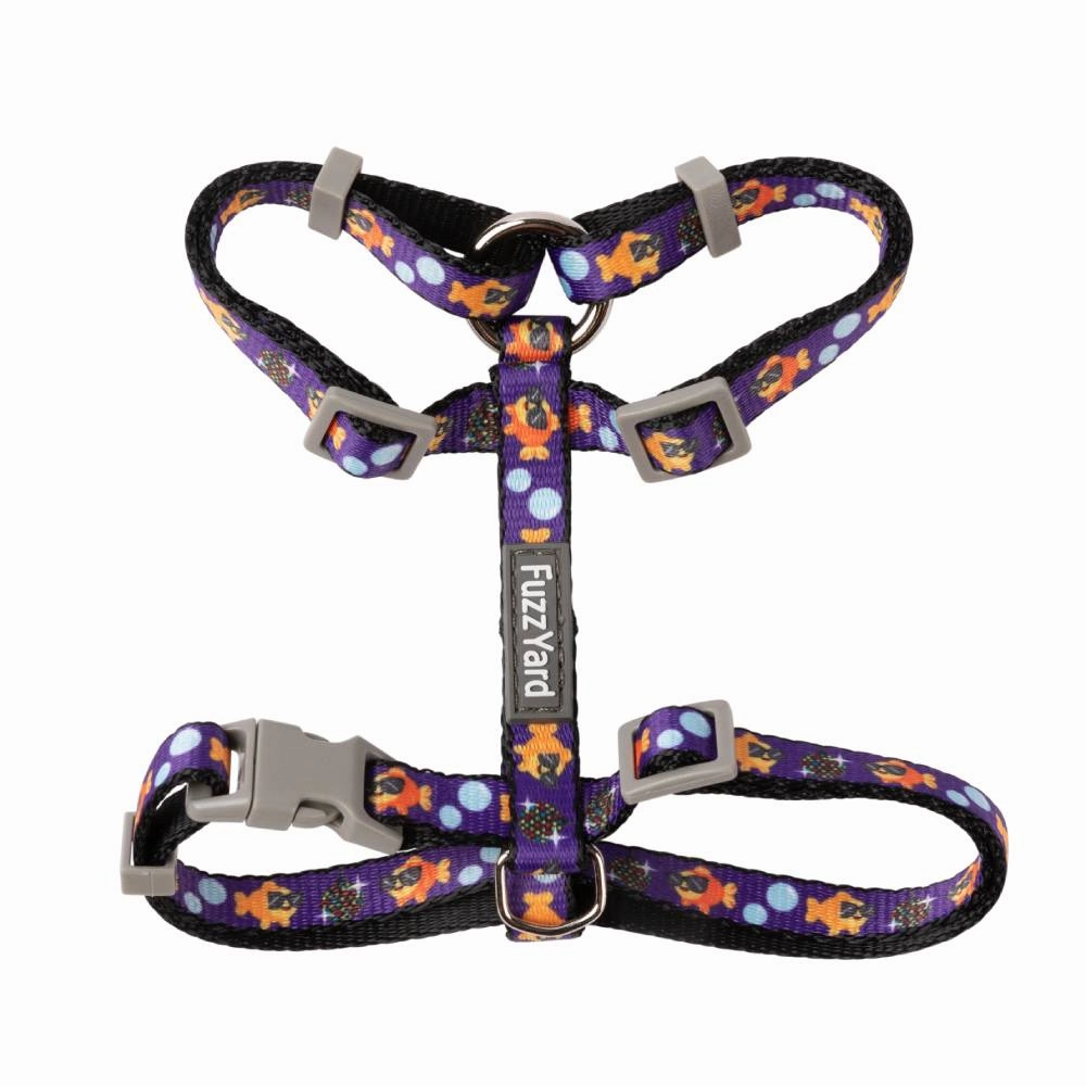FuzzYard Cat Walking Set - Caturday Night Fever