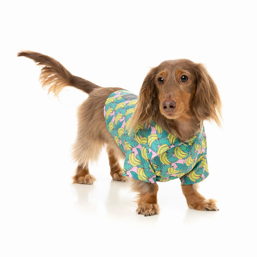 Fuzzyard Dog Button Up Shirt - Bananarama Size 6