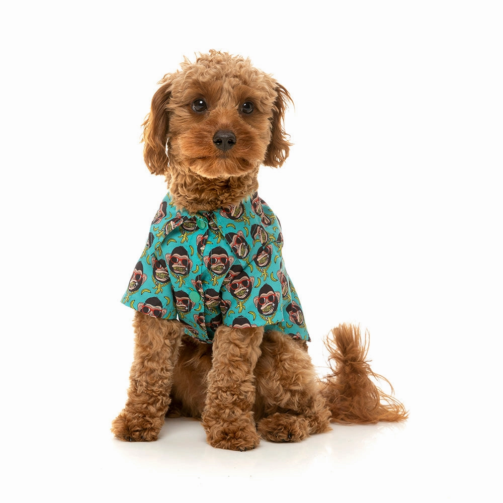 Fuzzyard Dog Button Up Shirt - Gor-Illz Size 3
