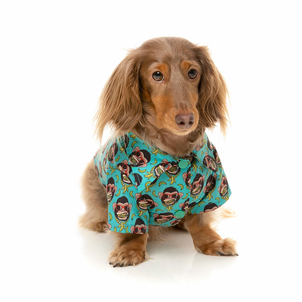 Fuzzyard Dog Button Up Shirt - Gor-Illz Size 3