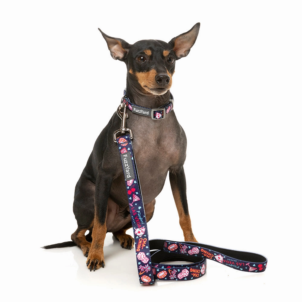Fuzzyard Dog Lead Jackpup S 1.5cm x 120cm