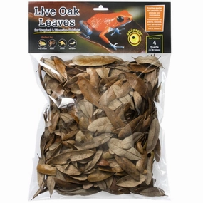Galpagos Natural Live Oak Leaf Litter