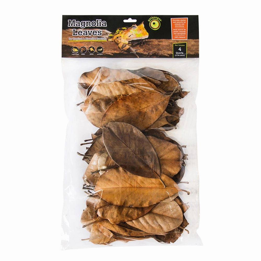 Galpagos Natural Magnolia Leaf Litter
