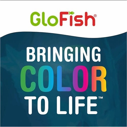 GloFish Special Flake Food