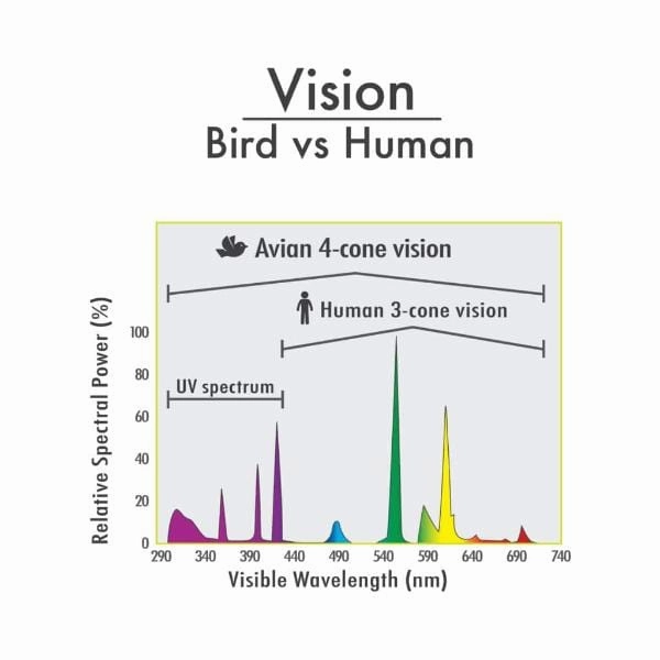 Hari Avian Light Bulb 26W/UVB 5.0/UVA 25