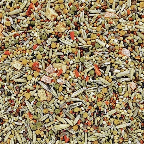 HARI Gourmet Premium Seed Mix for Budgies, 1kg