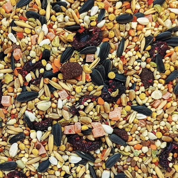 HARI Gourmet Premium Seed Mix For Cockatiels