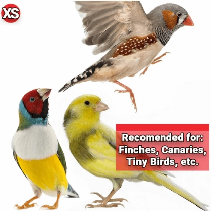 HARI Gourmet Premium Seed Mix for Finches
