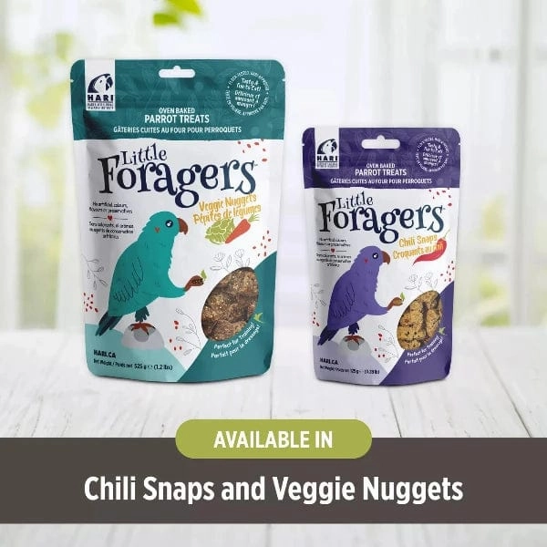 Hari Little Foragers Parrot Treats - Chili Snaps Bird Treats