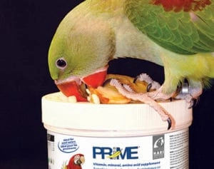 Hari Prime Vitamin Mineral Amino Acid Supplement for Birds