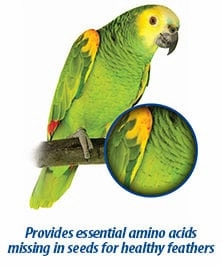 Hari Prime Vitamin Mineral Amino Acid Supplement for Birds