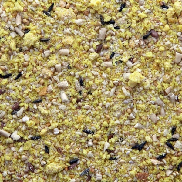 Higgins Protein Egg Food for All Birds