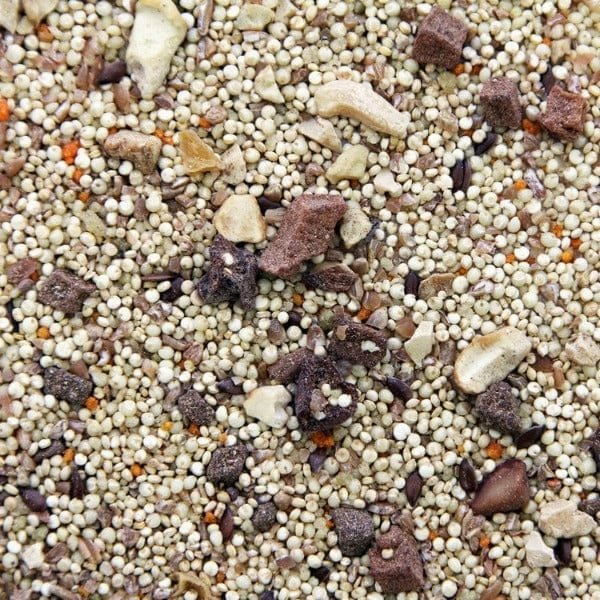 Higgins Worldly Cuisines African Sunset Bird Food Appetizer