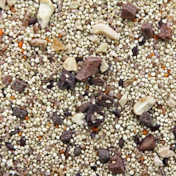 Higgins Worldly Cuisines African Sunset Bird Food Appetizer