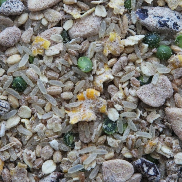 Higgins Worldly Cuisines Creamy Zen Bird Food Appetizer