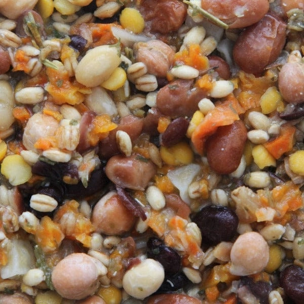Higgins Worldly Cuisines Inca Bean Salad Bird Food Appetizer